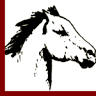 Cavallo Bianco