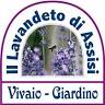 Articoli da regalo, prodotti alla lavanda e bomboniere alla lavanda