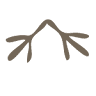 Immobilien Loch