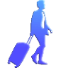 India Voyagers