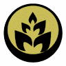Infusion Solutions
