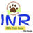 Inr Rabbits and Pets Farm rabbit 🐇🐰
