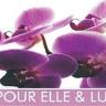 Pour Elle Et Lui