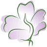 Carla Santin Fisioterapeuta