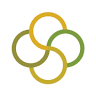 Integrated Care Mind & Body Studio