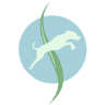 Integrative Veterinary Wellness