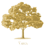 The Golden Tree 24/7 Booking & Office