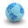 Interdyne Inc