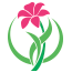Florería 