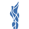Johnson & Johnson Physical Therapy