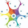 Instituto de Rehabilitación Neurológica - Daño Cerebral en niños y adultos - IRENEA VALENCIA