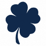 Irish Realty