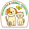 Ishihara Animal Clinic