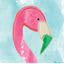 Cindy Quinn PA - Anna Maria Island Realtor - Sato Real Estate & Vacation Rentals