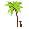 Island Pet Veterinary Hospital