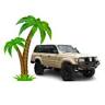 Island Safaris