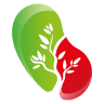 Italian Bean