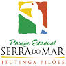 Headquarters State Park Serra do Mar - Core Itutinga Drumsticks