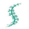 Itxasari fisioterapia y osteopatía