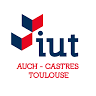 I.U.T Paul Sabatier University Institute of Technology
