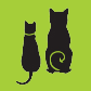 Ivy Animal Clinic