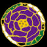 Koshoji