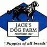 Jack's Dog Farm