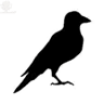 Jagged Crow Farm