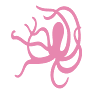 Seadragon Villa