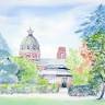 Jane Patterson Watercolours Home Gallery