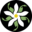 Jasmine Advanced Bodywork and Healing Center