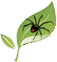 JD Smith Pest Control