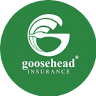 Goosehead Insurance - Jerry Hallman