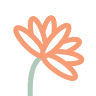 Bloom Early Education Jindalee