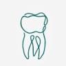 JL endodontics