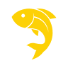 Joey’s Fish Shack