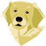 Joey's Pet Outfitters Dog Park