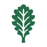 Kale Realty