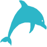 Jolly Sailing & Dolphin Cruise