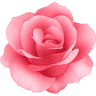 Joni’s Flower Shop
