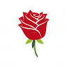 J's Prairie Rose