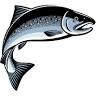Juneau Sport Fishing