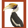 JungleWalla -Natural History Tours