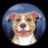 Junih Dog Store