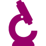 Junior College