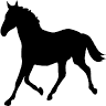 Just Horses