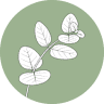 Just Organized, LLC