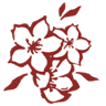漢方薬の桃華堂