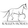Kaluza Horses