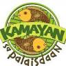 Kamayan sa Palaisdaan